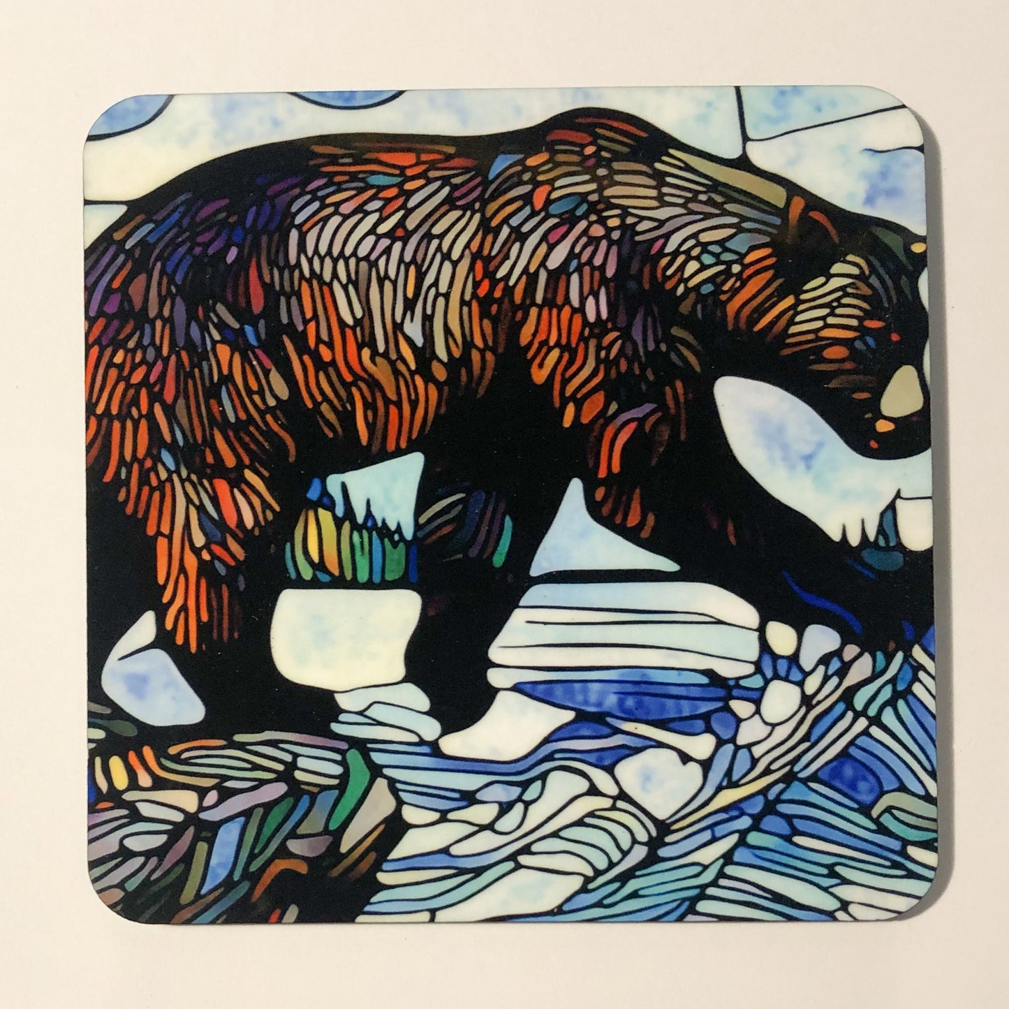 Bear in river
