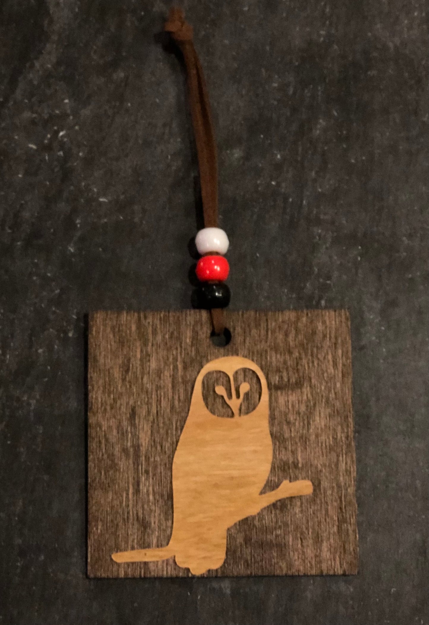 Owl in tree