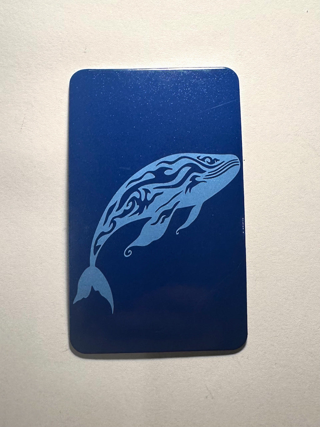 Humpback whale