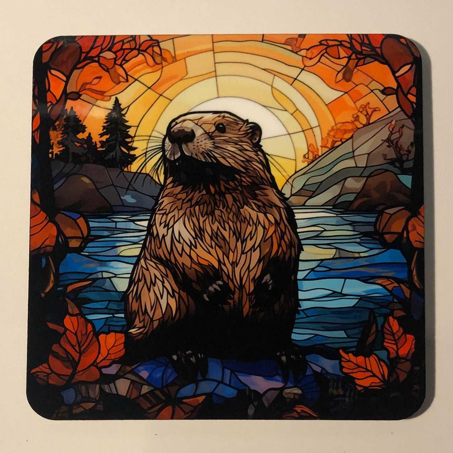 Beaver coaster